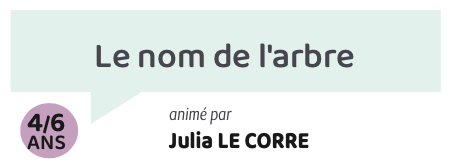 Le nom de l’arbre